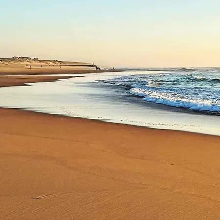 Semesterbostad Trait D'union By Interhome Mimizan-Plage