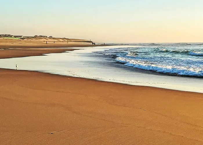 Ferienhaus Trait D'union By Interhome Mimizan